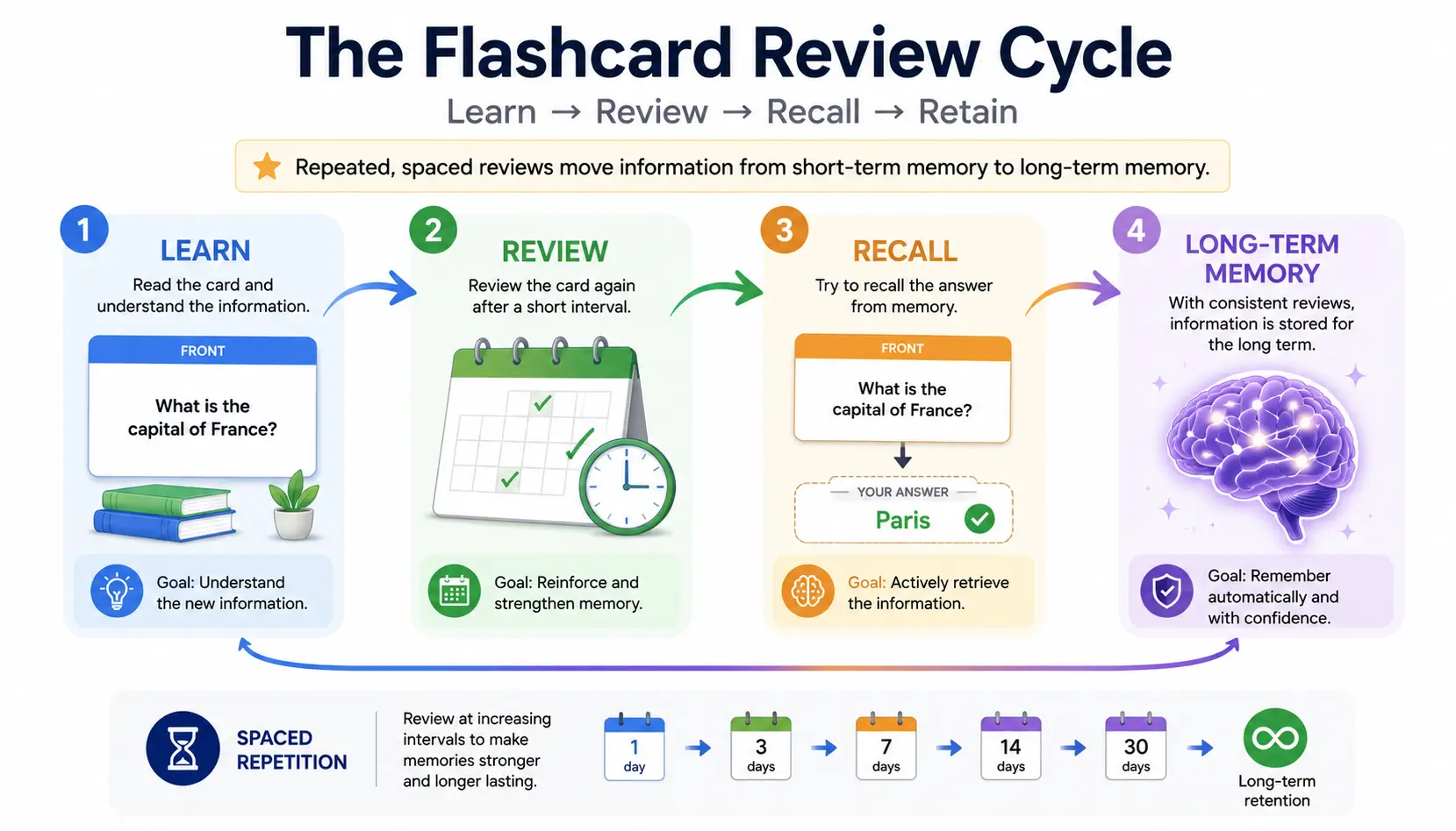 Anki review cycle showing how repeated retrieval and spaced repetition strengthen long-term memory.