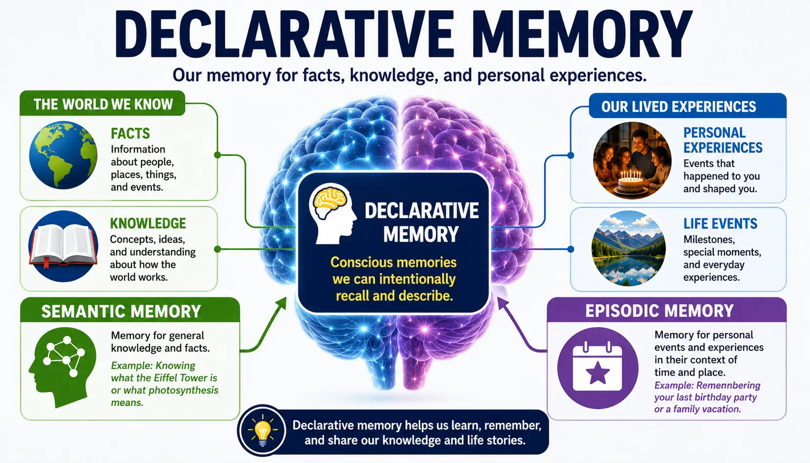 Declarative memory illustration showing facts knowledge personal experiences semantic memory and episodic memory connected inside the brain