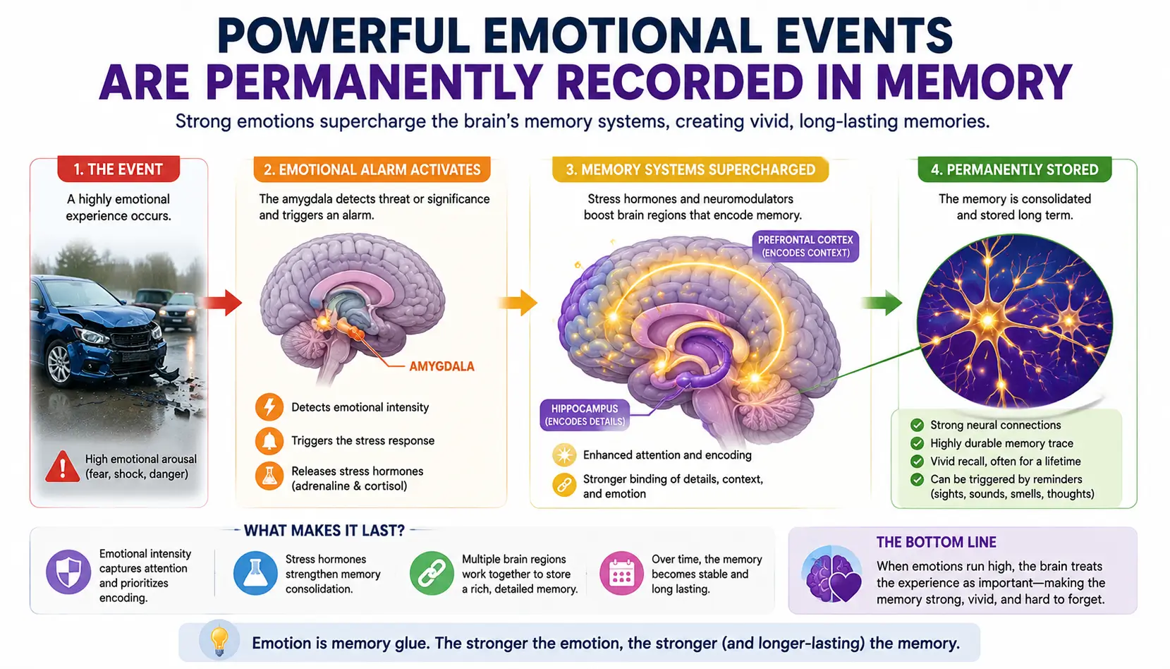 Flashbulb memory illustration showing an emotional event creating a vivid and lasting memory trace in the brain.