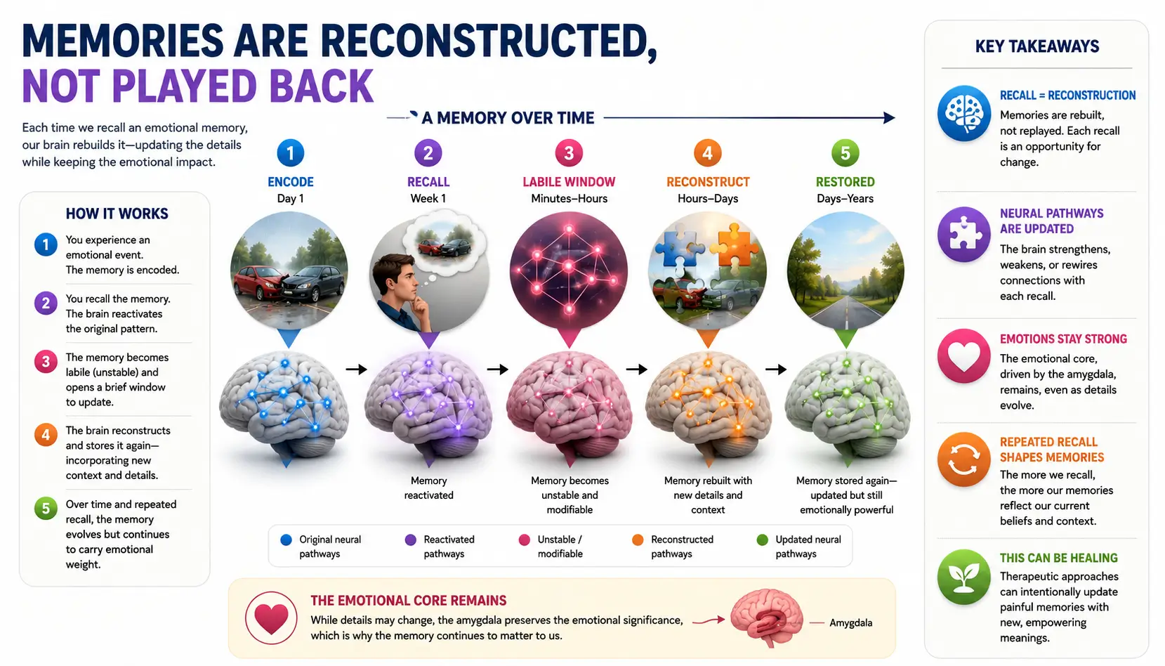 Flashbulb memory illustration showing emotional memories remaining vivid while being reconstructed through repeated recall.