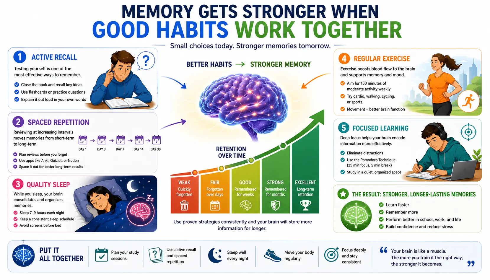 Memory improvement illustration showing science-backed habits strengthening long-term memory retention and recall.