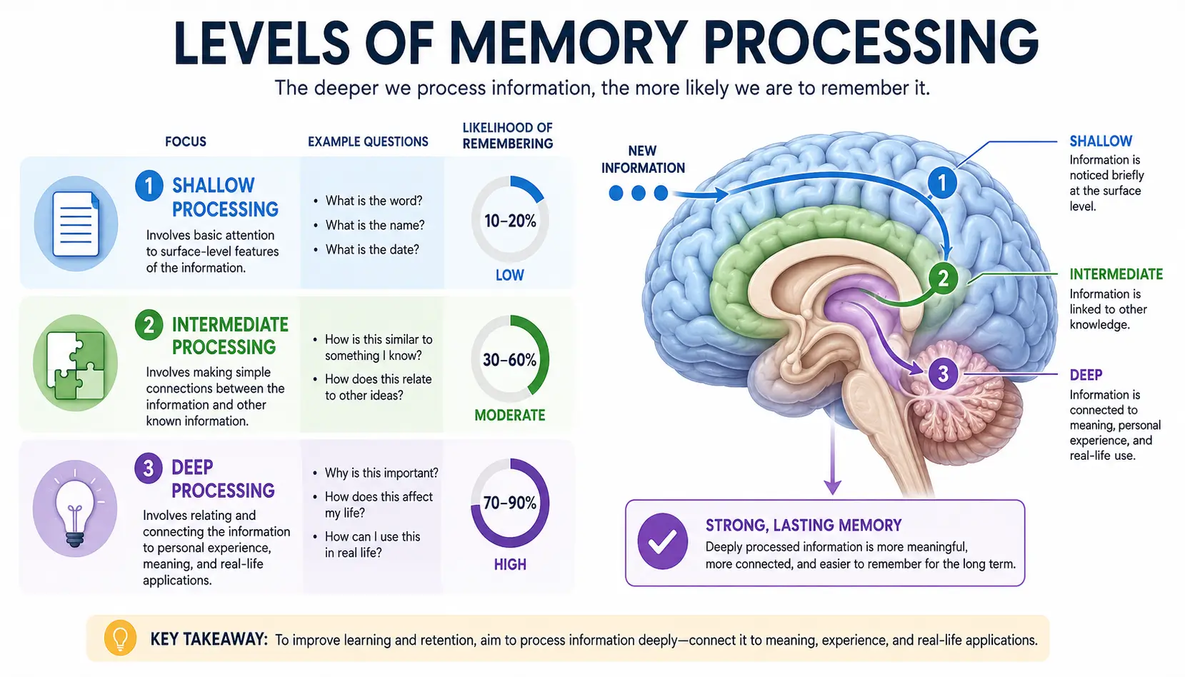 Levels of Processing Theory illustration showing shallow and deep memory processing pathways inside the brain.