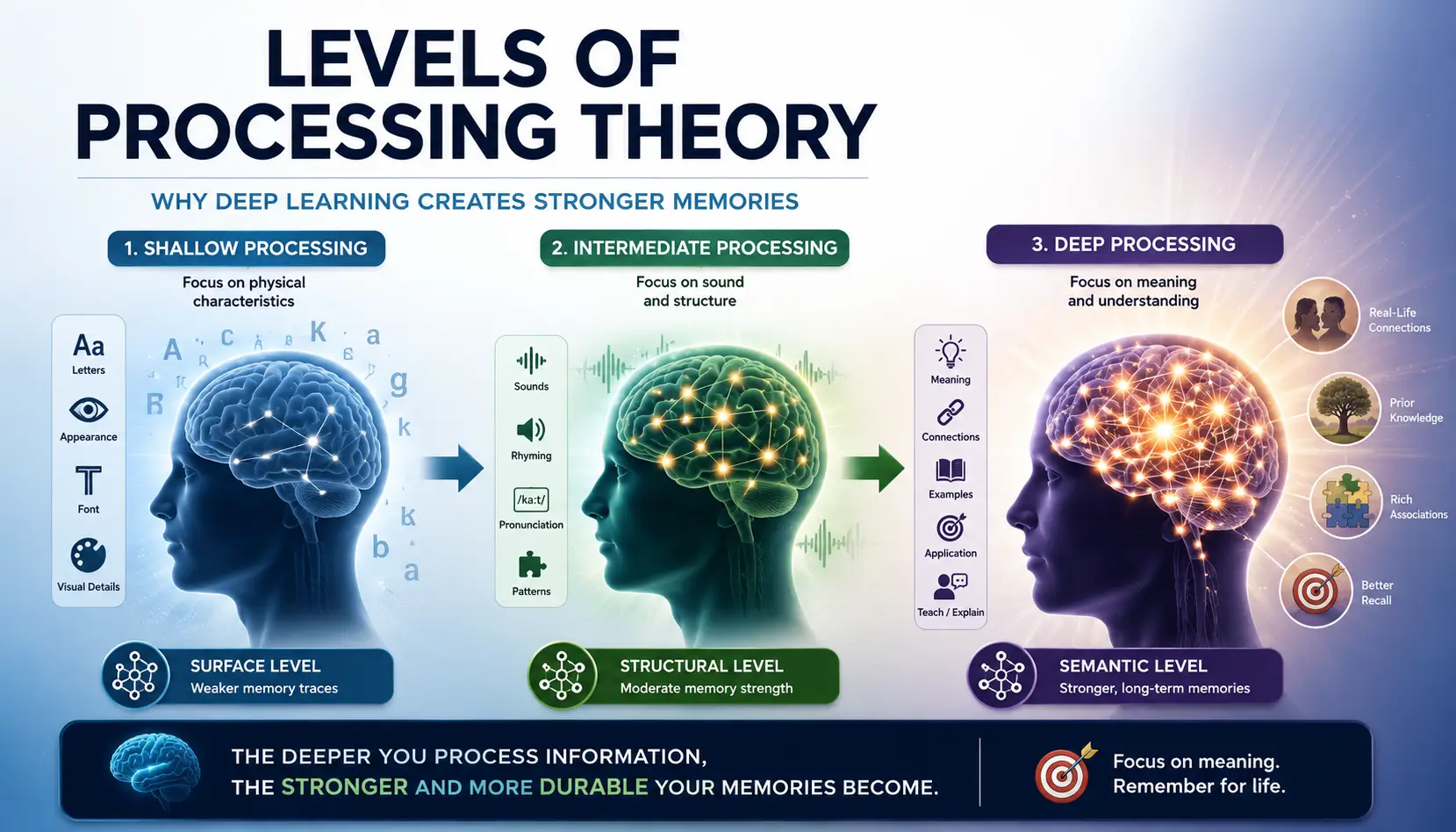 Levels of Processing Theory illustration showing shallow, intermediate, and deep processing stages that strengthen long-term memory retention and learning.