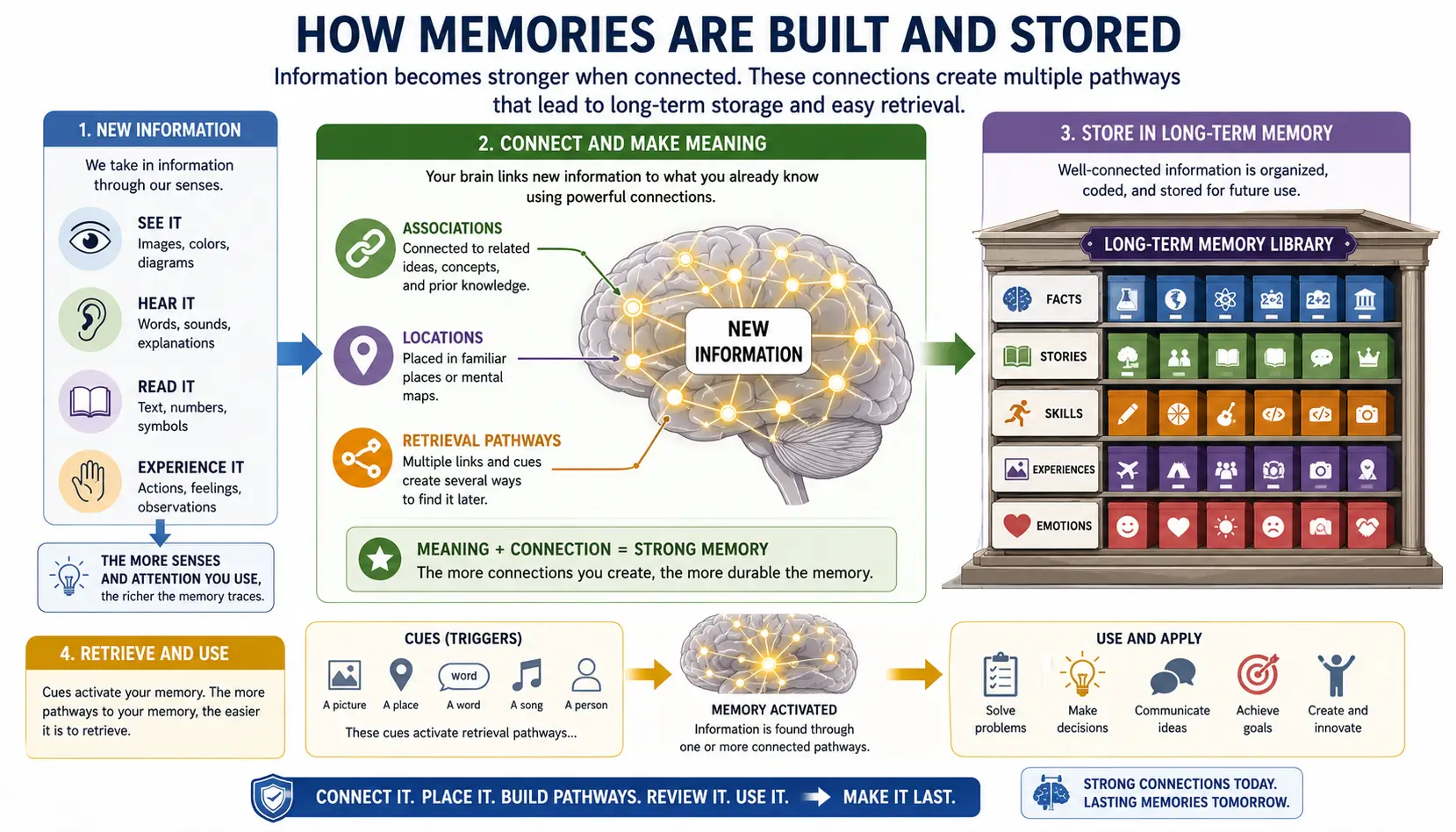 Long-term memory system showing information connected through associations and retrieval pathways for durable retention.