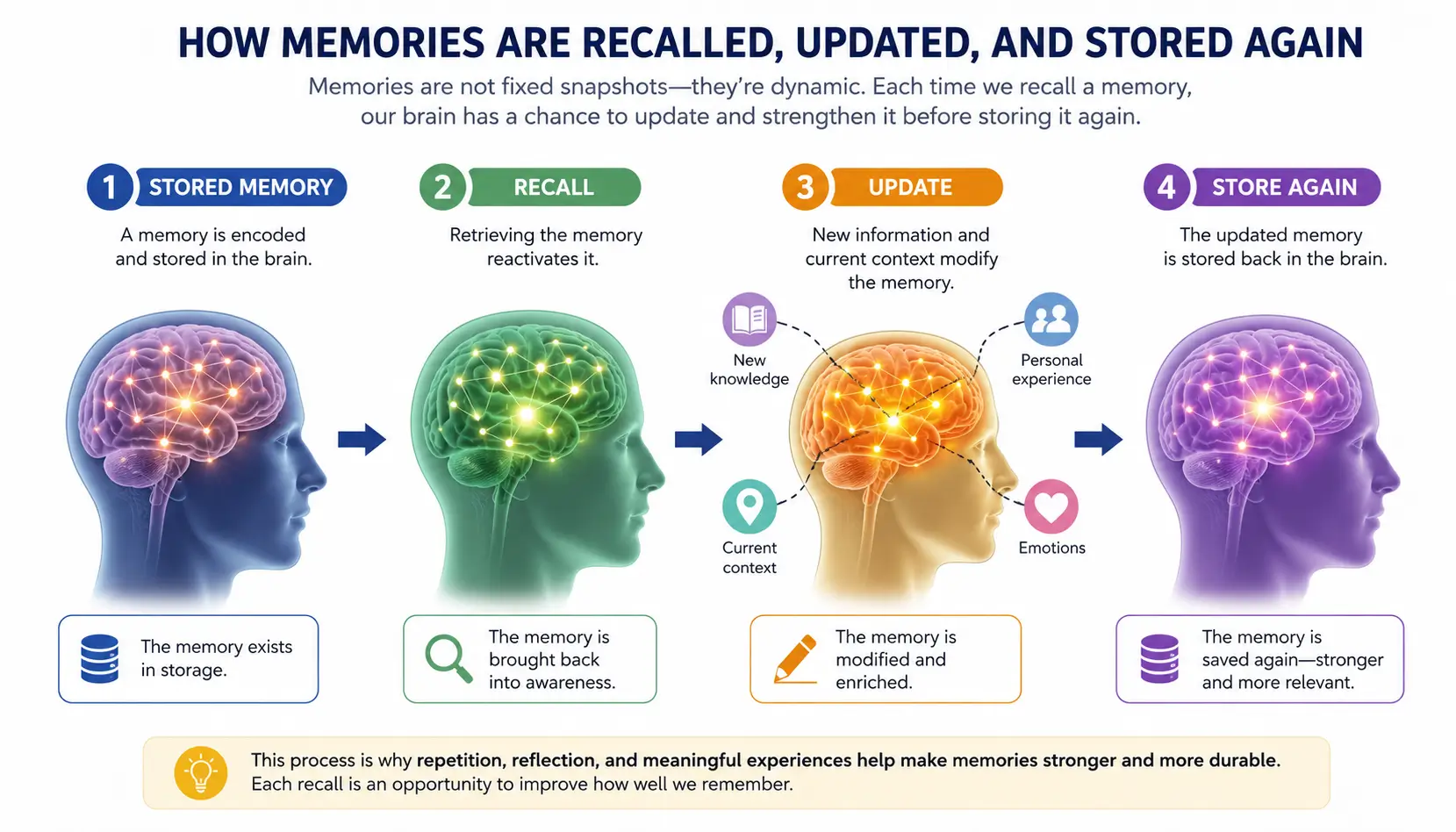 Memory reconsolidation illustration showing recalled memories becoming updated and stored again in long-term memory.