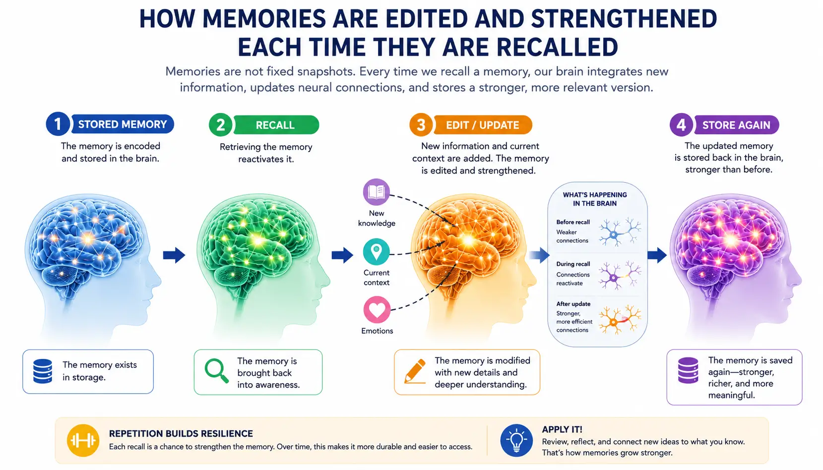Memory reconsolidation illustration showing recalled memories being updated, strengthened, and stored again in the brain.