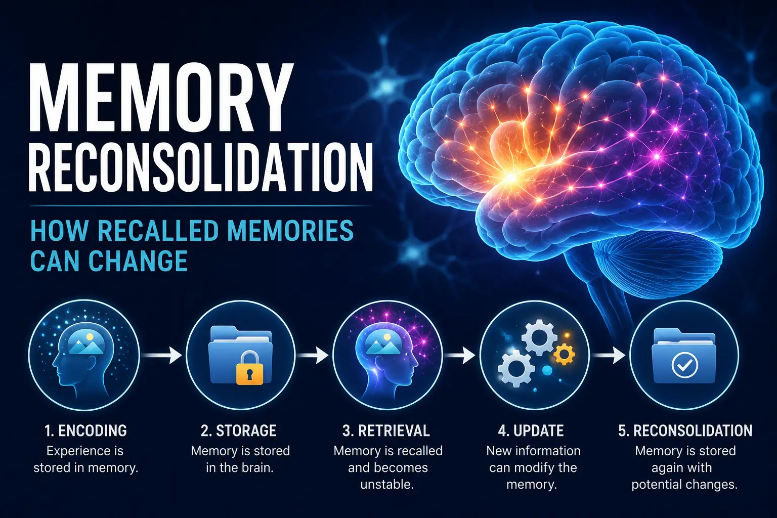 Memory reconsolidation illustration showing memories being recalled, modified, strengthened, and stored again through the brain's updating process.