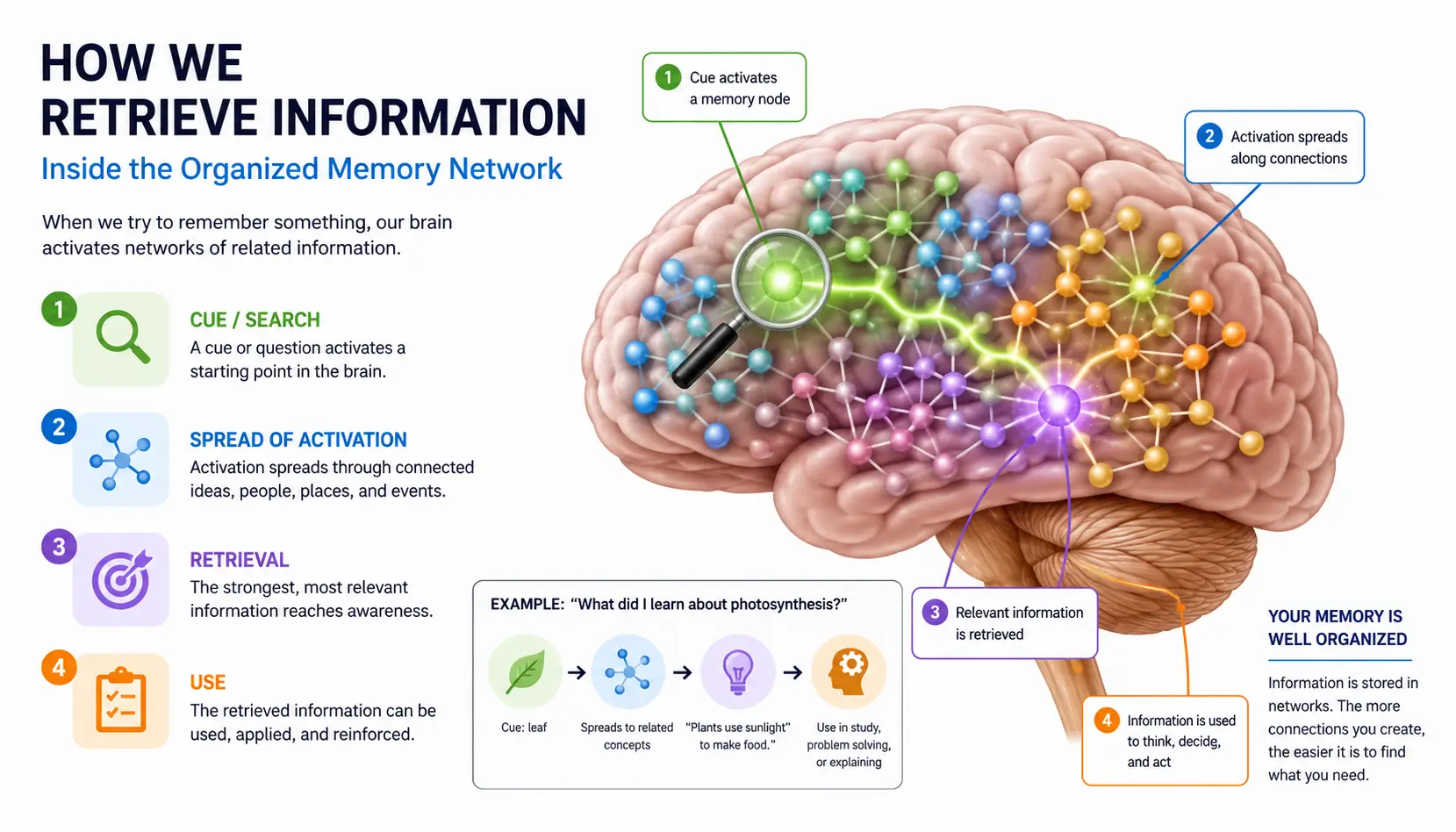Memory retrieval illustration showing stored information being accessed from long-term memory networks.