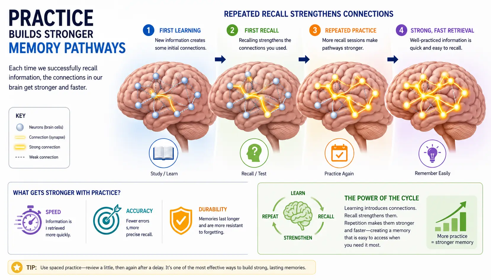 Memory retrieval strengthened through repeated recall, retrieval practice, and long-term learning.