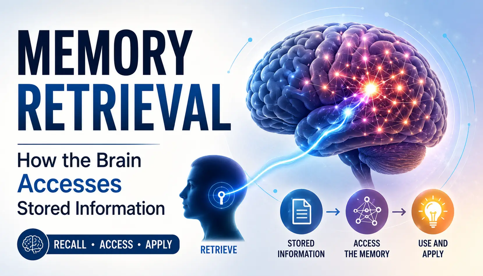 Memory retrieval illustration showing stored knowledge being recalled through strengthened neural pathways, retrieval cues, and active recall practice.