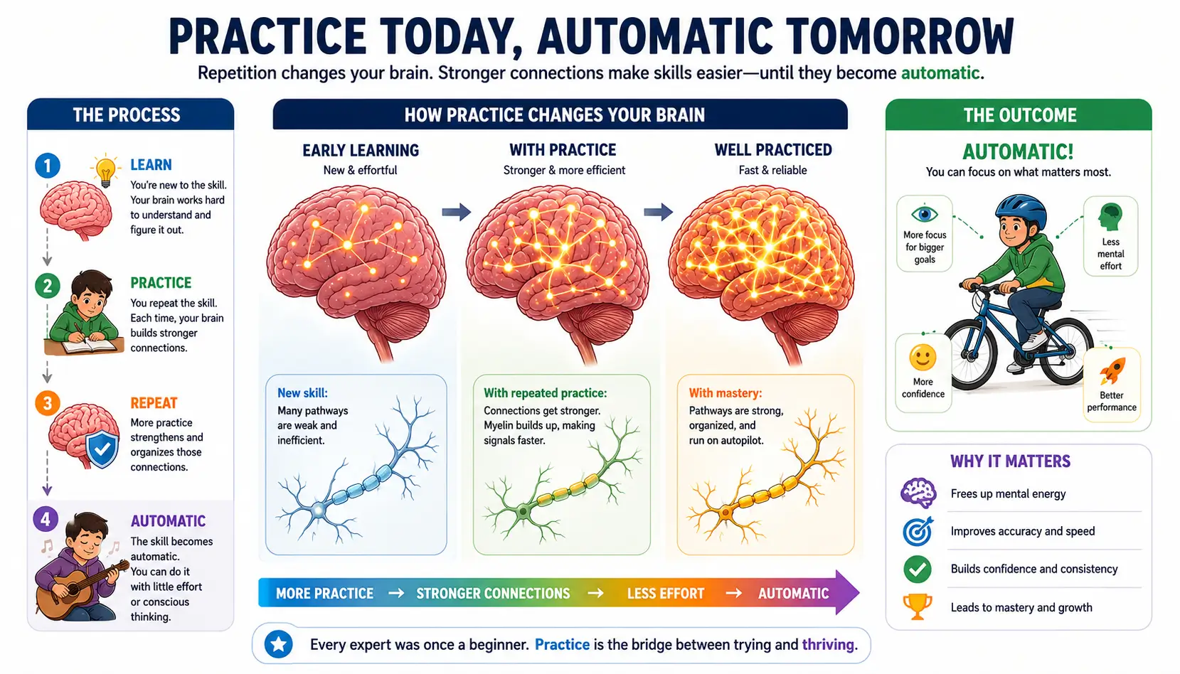 Procedural memory strengthened through repetition, skill practice, automaticity, and long-term learning.
