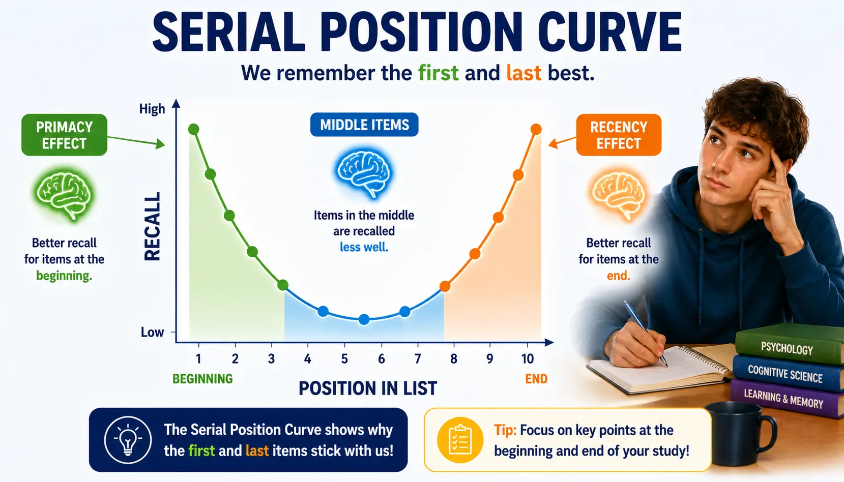 Serial Position Effect illustration showing primacy effect, recency effect, and reduced recall for middle items.