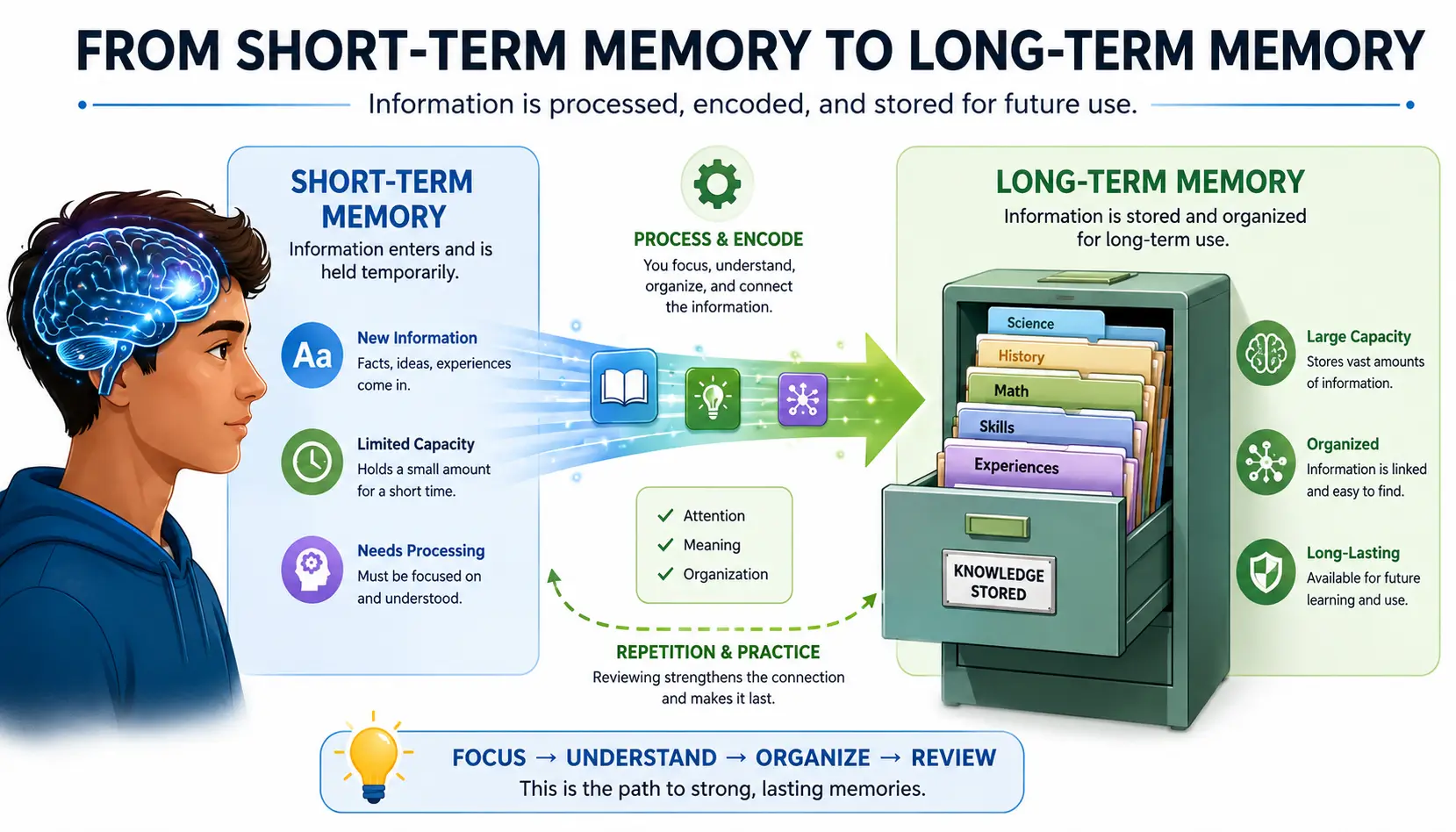 Short-term memory transferring information into long-term memory through learning and consolidation.