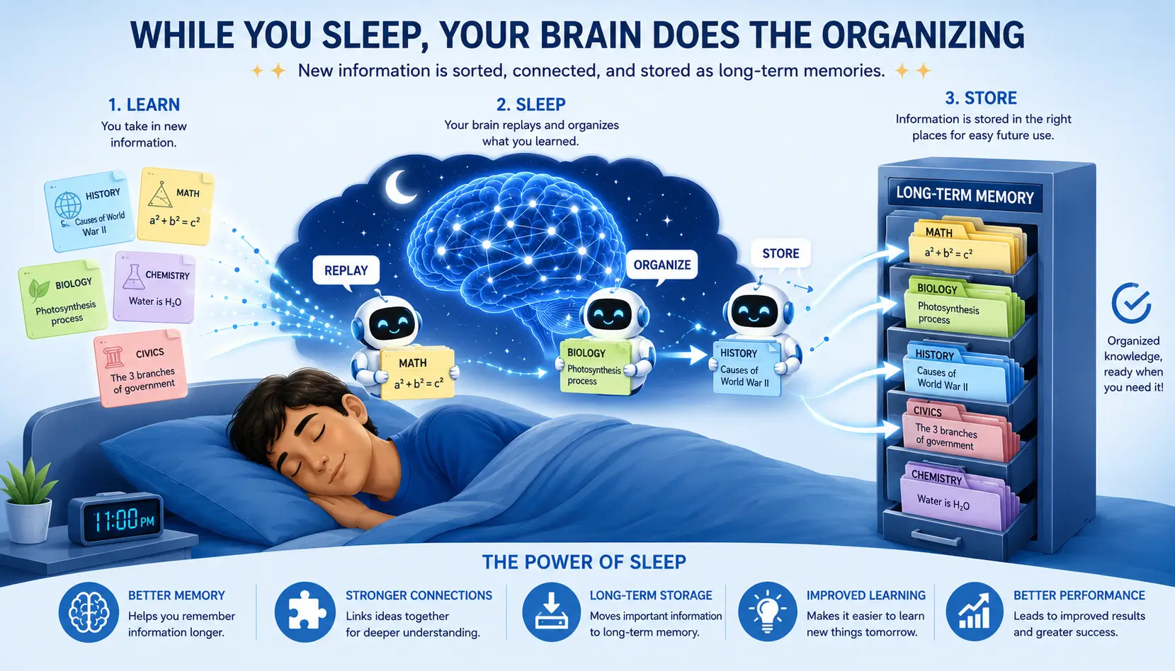 Sleeping brain organizing and storing learned information into long-term memory during overnight consolidation.