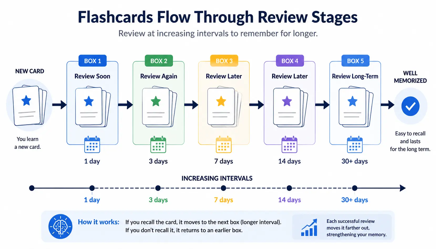 Flashcards moving through spaced repetition review boxes using the Leitner System for long-term learning.